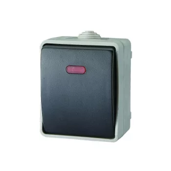   SOMOGYI ELEKTRONIC - 9876H - AQUATOP, falon kívüli, váltókapcsoló irányfénnyel IP54 szürke