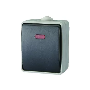   SOMOGYI ELEKTRONIC - 9877H - AQUATOP, falon kívüli, nyomókapcsoló irányfénnyel IP54 szürke