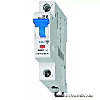   SCHRACK - Kismegszakító, C 25A, 1 pólusú, 6kA - BM617125--
