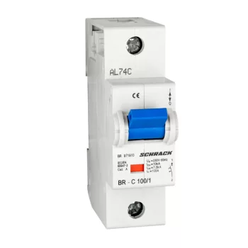   SCHRACK - Nagyáramú kismegszakító, C 100A, 1 pólusú, 10kA - BR971910--