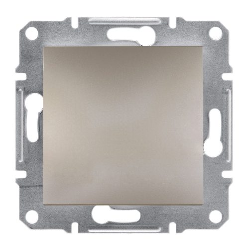 SCHNEIDER EPH5600169 - ASFORA Vakfedél, bronz 