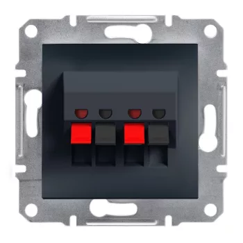   SCHNEIDER EPH5700171 - ASFORA Hangszóró csatlakozó, dupla, antracit 