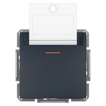   SCHNEIDER EPH6200171 - ASFORA Hotelkártya kapcsoló, antracit 