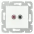 SCHRACK - Audio csatlakozóaljzat, csavaros csatlakozás, fehér - EV104008--
