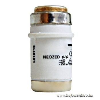 SCHRACK - Biztosító betét NEOZED DO2/63A, gL - IS504039--