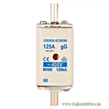   SCHRACK - NH00 biztosító betét gG 125A, 400VAC, 100kA - ISP00125--