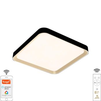   LED mennyezeti lámpa OPÁL + távvezérlő + Wifi 48W - LC902MB/S