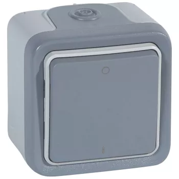   LEGRAND Plexo 55 falonkívüli kétpólusú kapcsoló, szürke