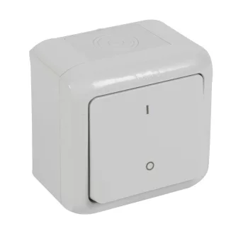   LEGRAND-782386 Forix IP44 falon kívüli kétpólusú kapcsoló 10 AX - 250 V~ szürke