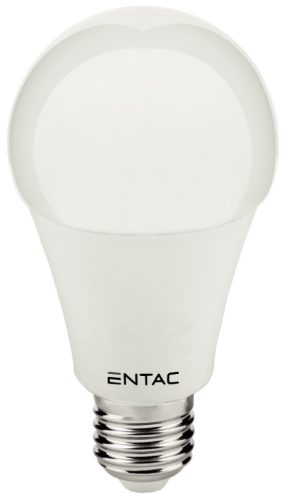 Entac LED Globe E27 8W WW 3000K