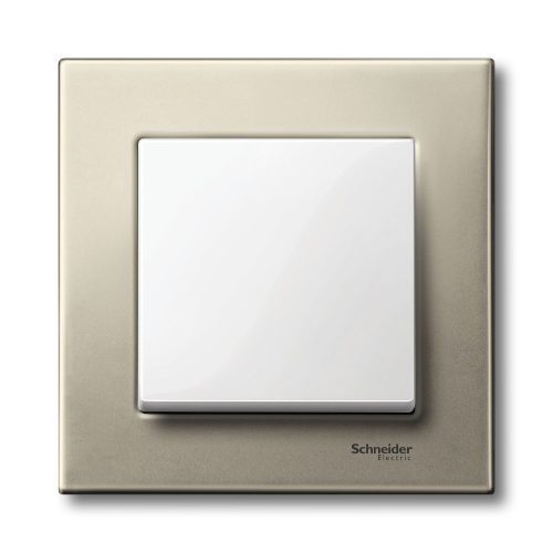 SCHNEIDER MTN403105 - MERTEN M-Plan egyes keret, titánium (fém)