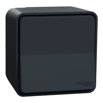   SCHNEIDER MUR35021 - MUREVA Styl Váltókapcsoló, komplett (106), antracitszürke