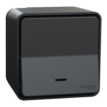   SCHNEIDER MUR35028 - MUREVA Styl Egypólusú nyomó, jelzőfénnyel, komplett, antracitszürke