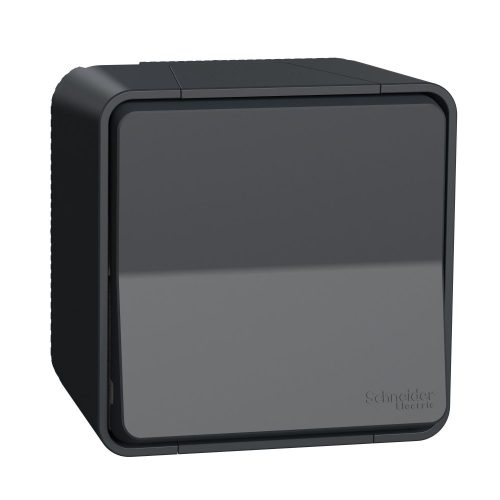 SCHNEIDER MUR35033 - MUREVA Styl Kétpólusú kapcsoló, 16 AX, komplett (102), antracitszürke