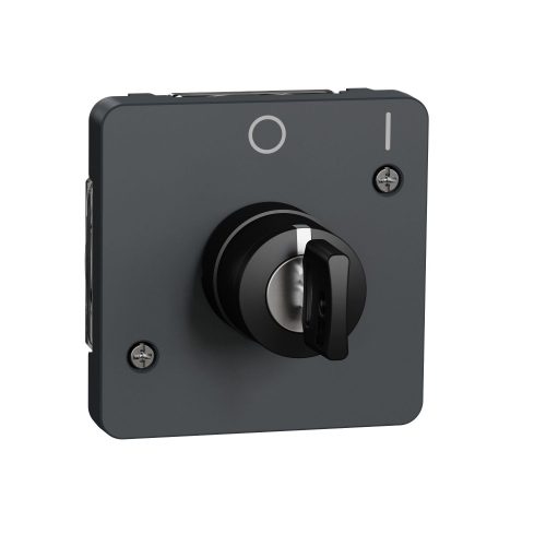 SCHNEIDER MUR35062 - MUREVA Styl Kulcsos kapcsoló, 2 állású, antracitszürke