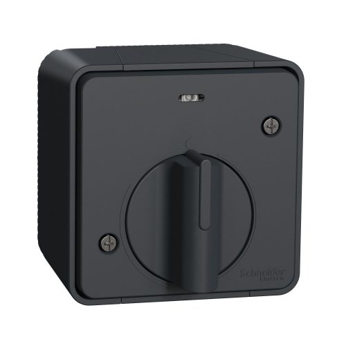 SCHNEIDER MUR35067 - MUREVA Styl Mechanikus időkapcsoló, komplett, antracitszürke