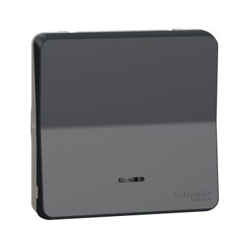   SCHNEIDER MUR35127 - MUREVA Styl Egypólusú nyomó, jelzőfénnyel, antracitszürke