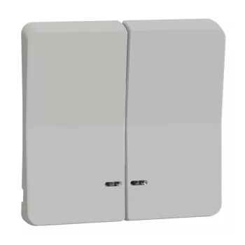   SCHNEIDER MUR39205 - MUREVA Styl Kettős billentyű, jelzőfényes, polárfehér