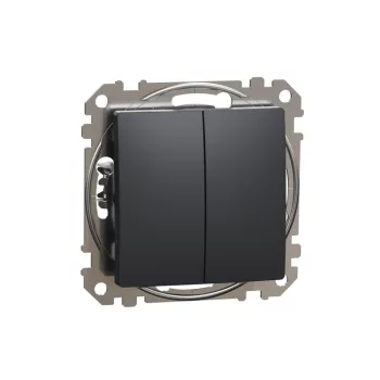   SCHNEIDER SDD114118 - SEDNA Kettős nyomó, rugós bekötés, 10A, antracit