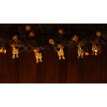   TRACON CHRSTRDGM10WW - LED karácsonyi lánc, szarvas,fém, elemes (X22060) Timer 6+18h,10LED, 3000K, 2xAA