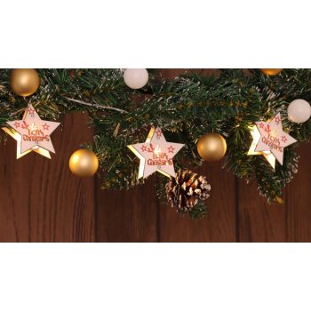   TRACON CHRSTSTPW10WW - LED karácsonyi lánc, csillag,feliratos, fehér,elemes(X22054) Timer 6+18h,10LED, 3000K, 2xAA