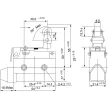 TRACON LS7144 - Helyzetkapcsoló, rugószáras-csuklógörgő 1xCO, 2A/230V AC-15, 0,3A/250V DC-13, 47mm, IP40