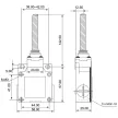 TRACON VM181 - Helyzetkapcsoló, rugószáras (acél) 1xNO+1xNC, 6A/230V AC-15, 0,3A/250V DC-13, IP66