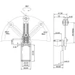 TRACON VP145 - Helyzetkapcsoló, lengőkar-görgő 1xNO+1xNC, 6A/230V AC-15, 0,3A/250V DC-13, 30-60mm, IP65