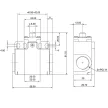 TRACON VT110 - Helyzetkapcsoló, kúpos-ütközős 1xNO+1xNC, 6A/230V AC-15, 0,3A/250V DC-13, IP65