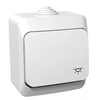   SCHNEIDER WDE000513 - CEDAR PLUS Egypólusú nyomó, lámpajellel, IP44, fehér