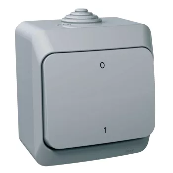   SCHNEIDER WDE000620 - CEDAR PLUS Kétpólusú kapcsoló, IP44, szürke (102)